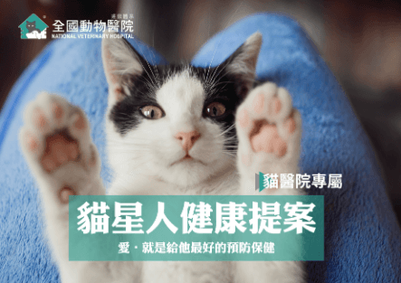 【貓醫院】貓星人健康提案