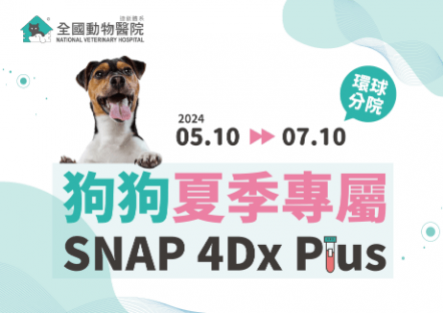 【環球分院】狗狗夏季專屬｜SNAP 4Dx Plus檢測