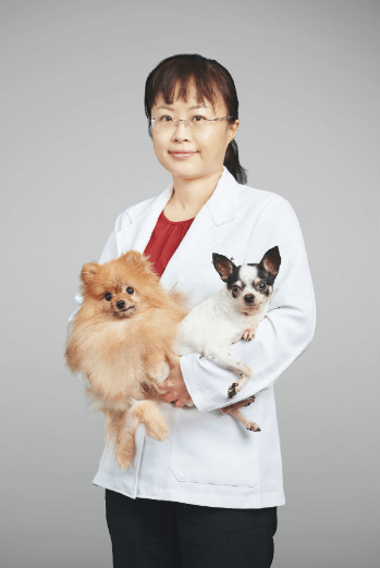 洪千惠