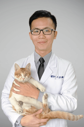王善群