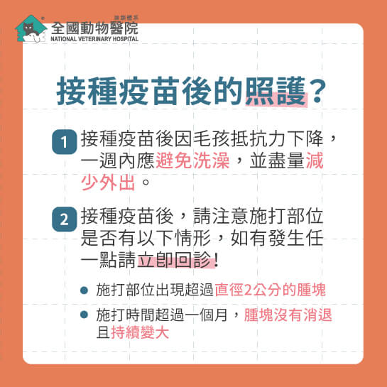 這是一張圖