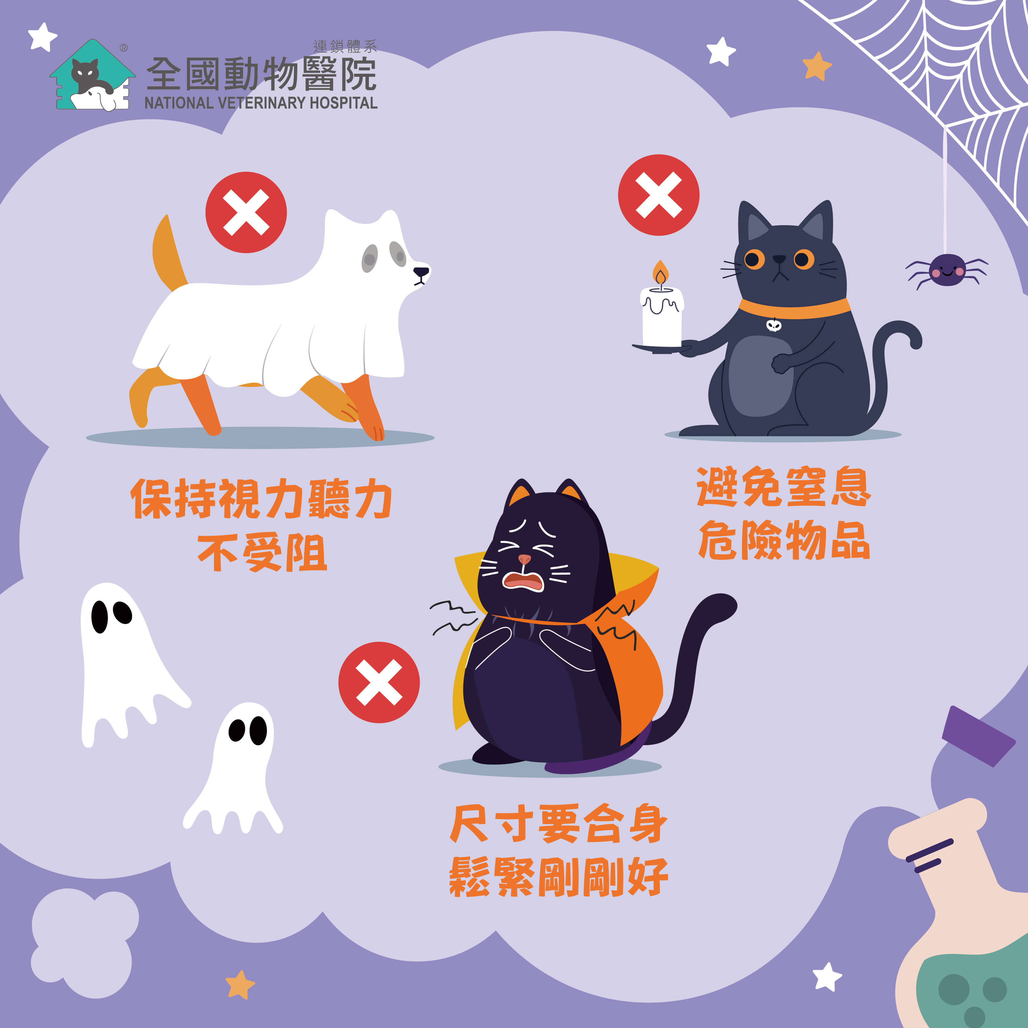 這是一張圖