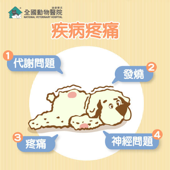 這是一張圖