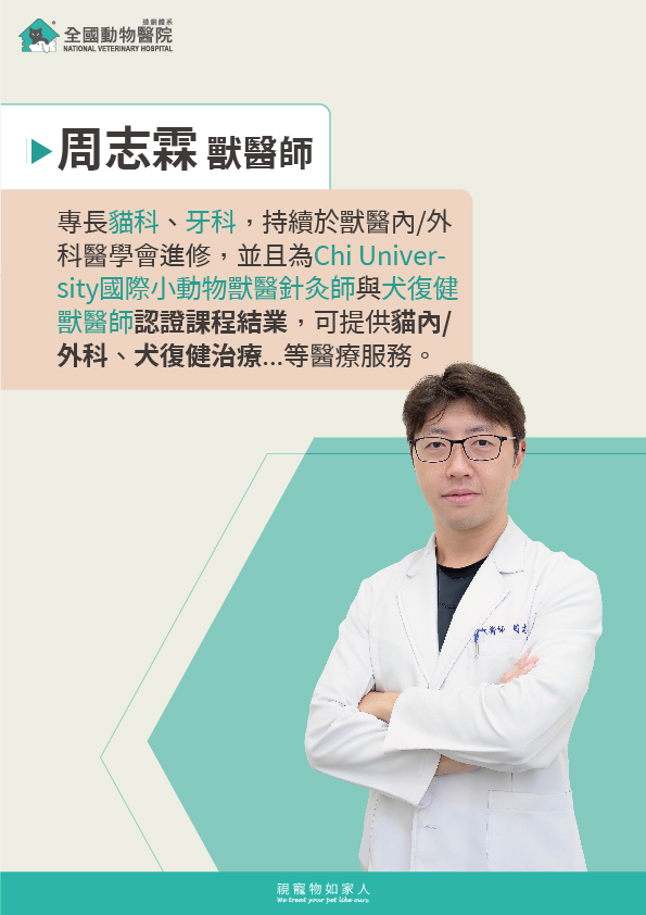 這是一張圖