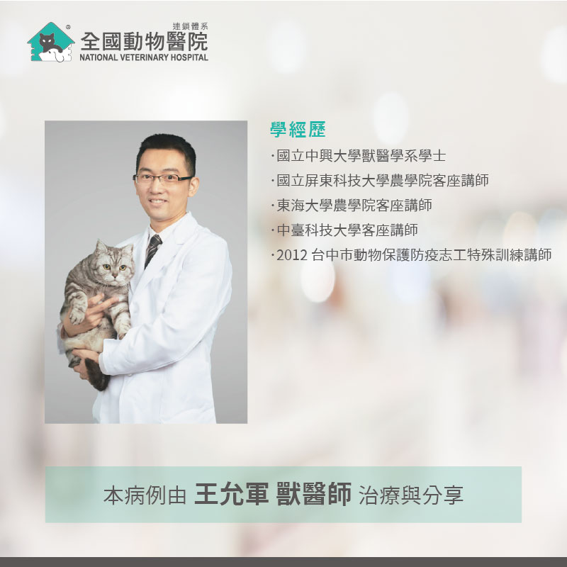 這是一張圖
