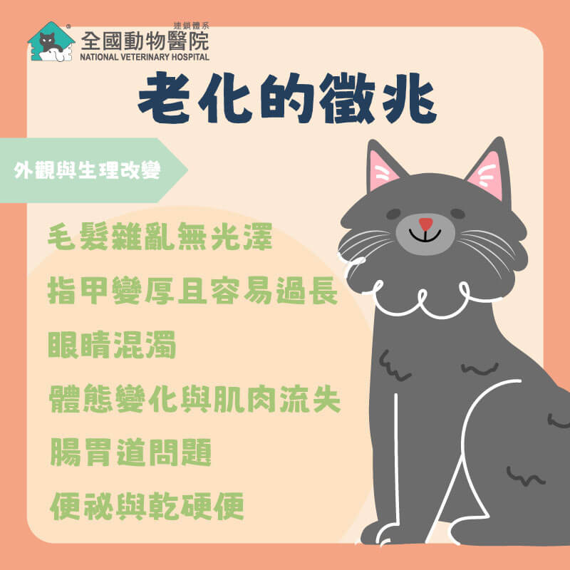這是一張圖