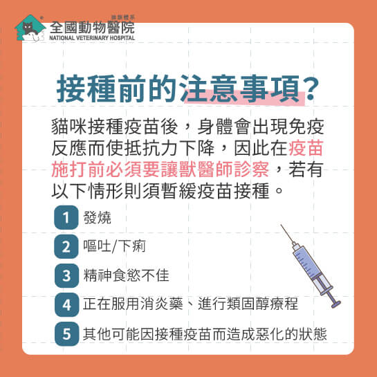 這是一張圖