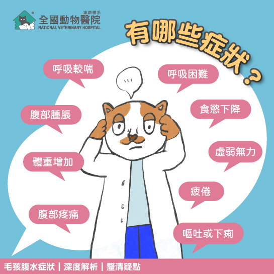 這是一張圖