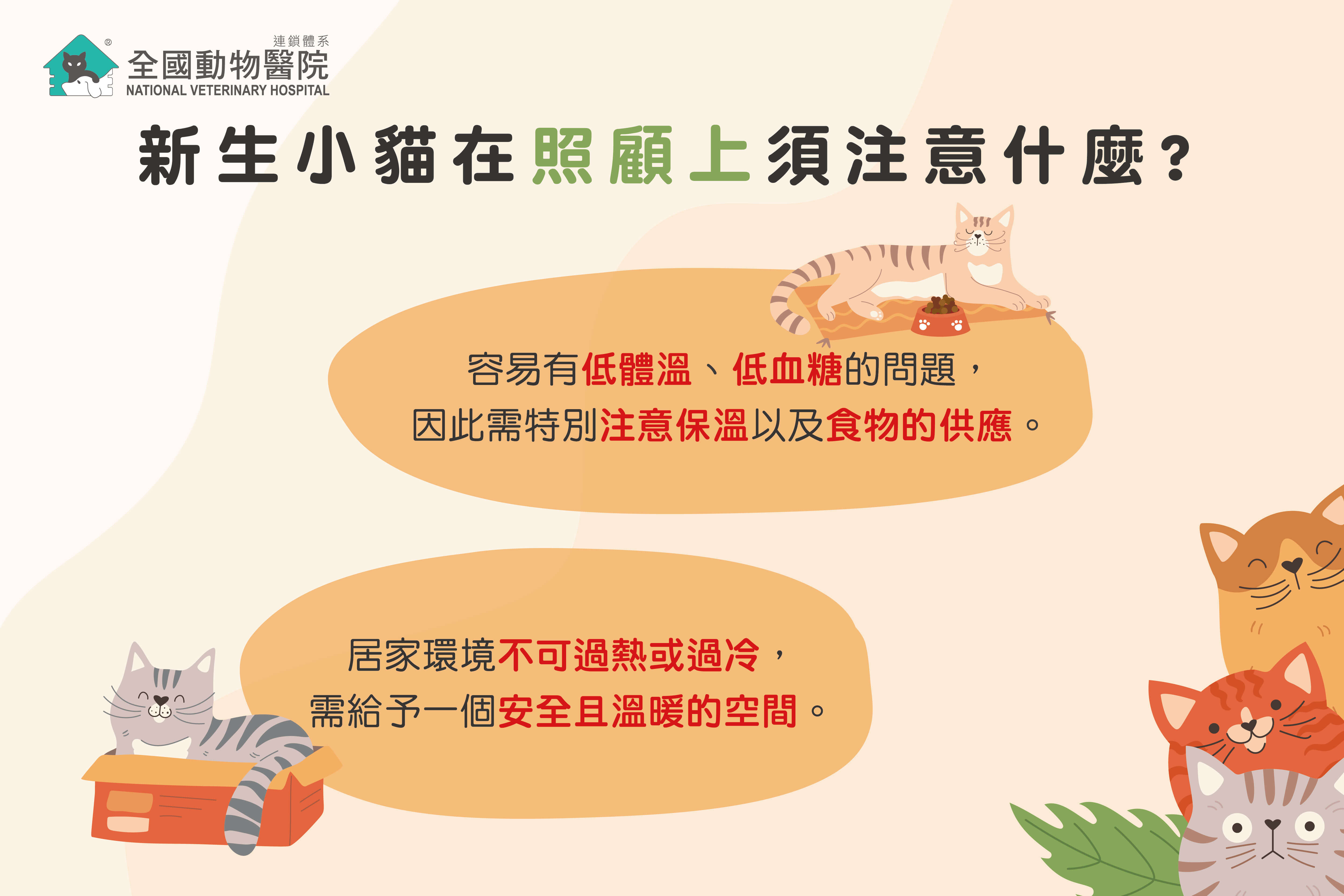 這是一張圖
