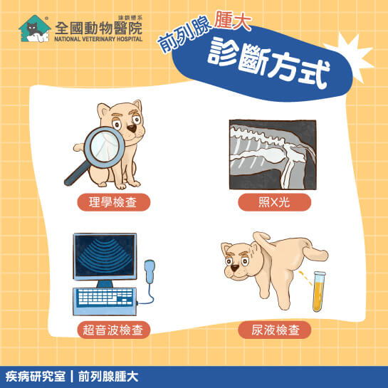這是一張圖