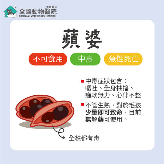 這是一張圖