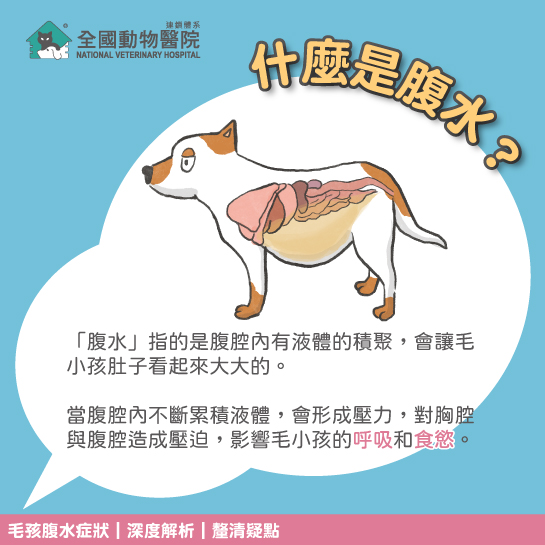 這是一張圖