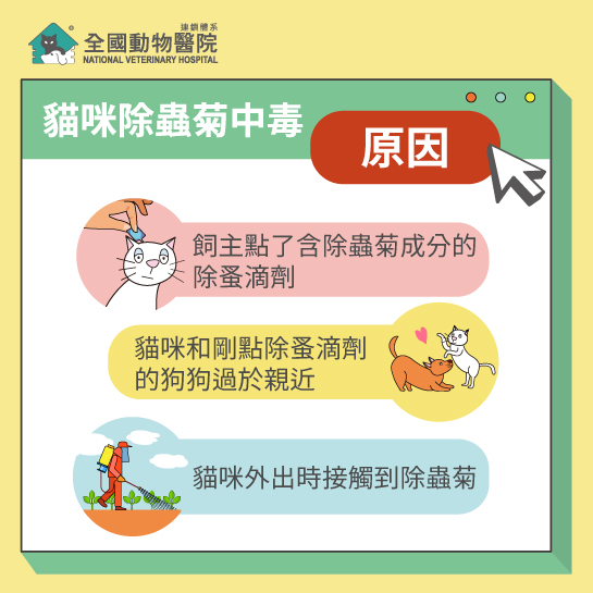 這是一張圖