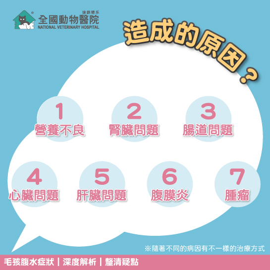 這是一張圖