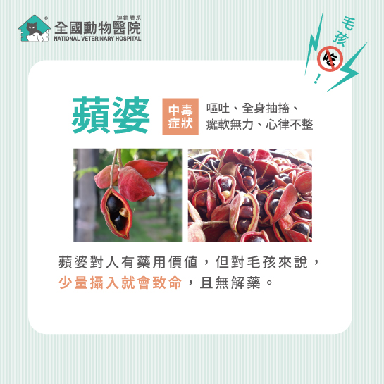 這是一張圖