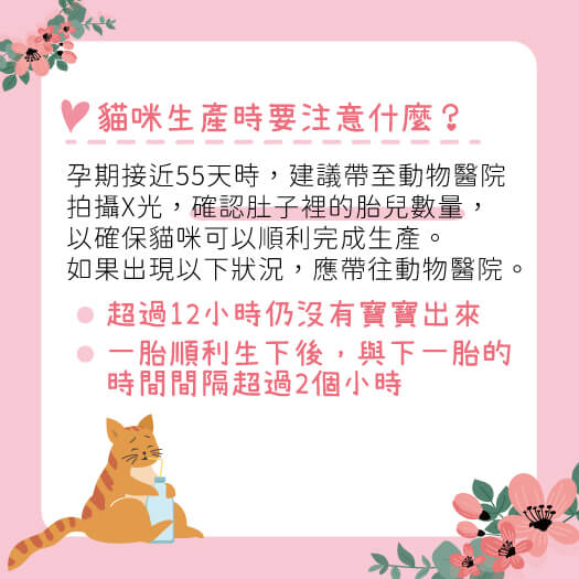 這是一張圖