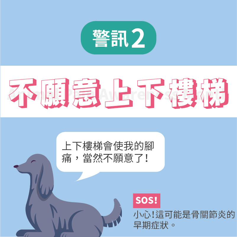 這是一張圖