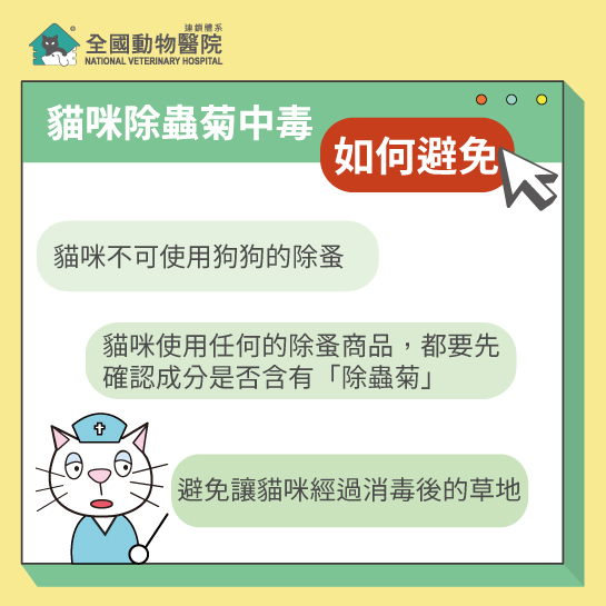 這是一張圖
