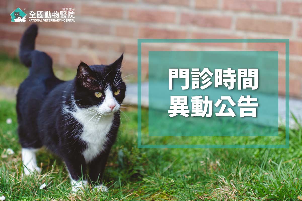 這是一張圖