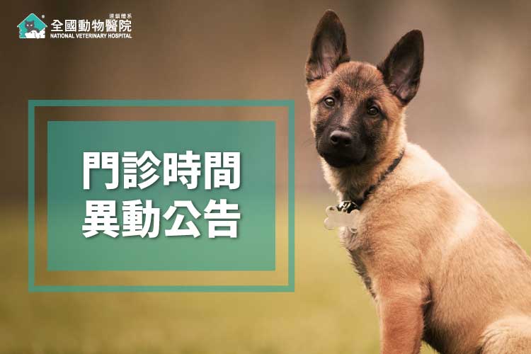 這是一張圖