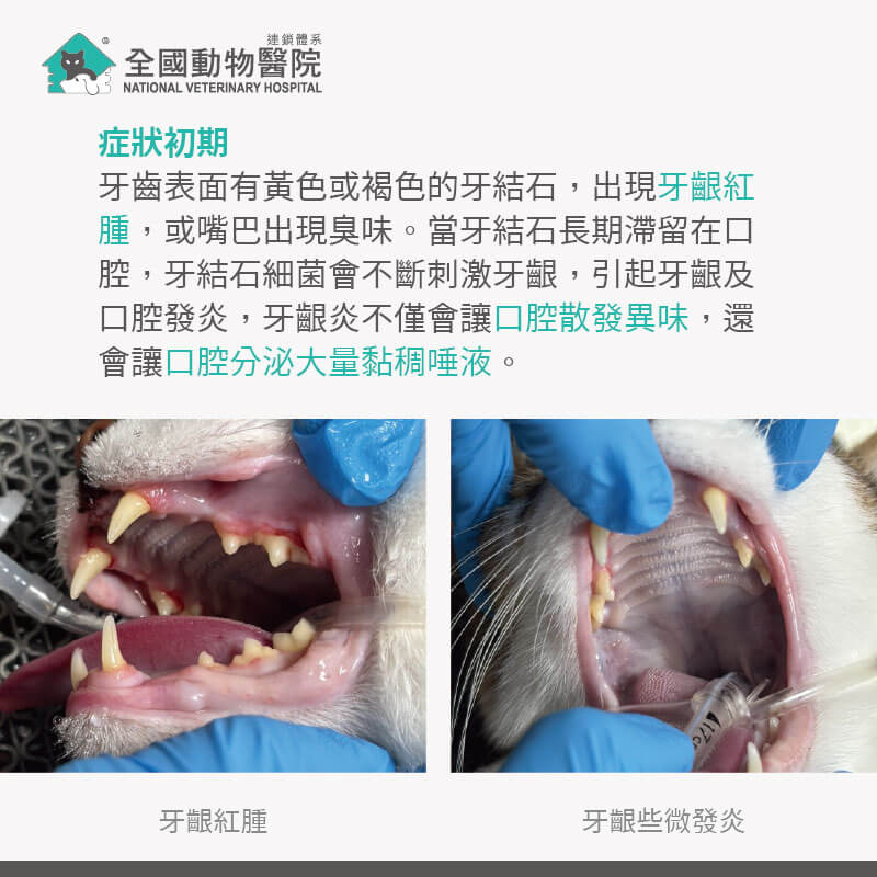 這是一張圖