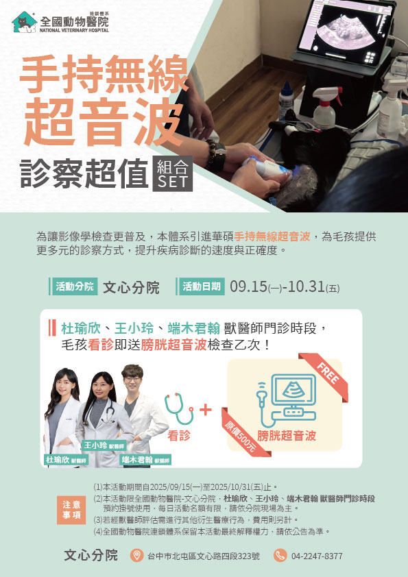 這是一張圖