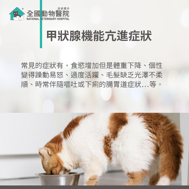 這是一張圖