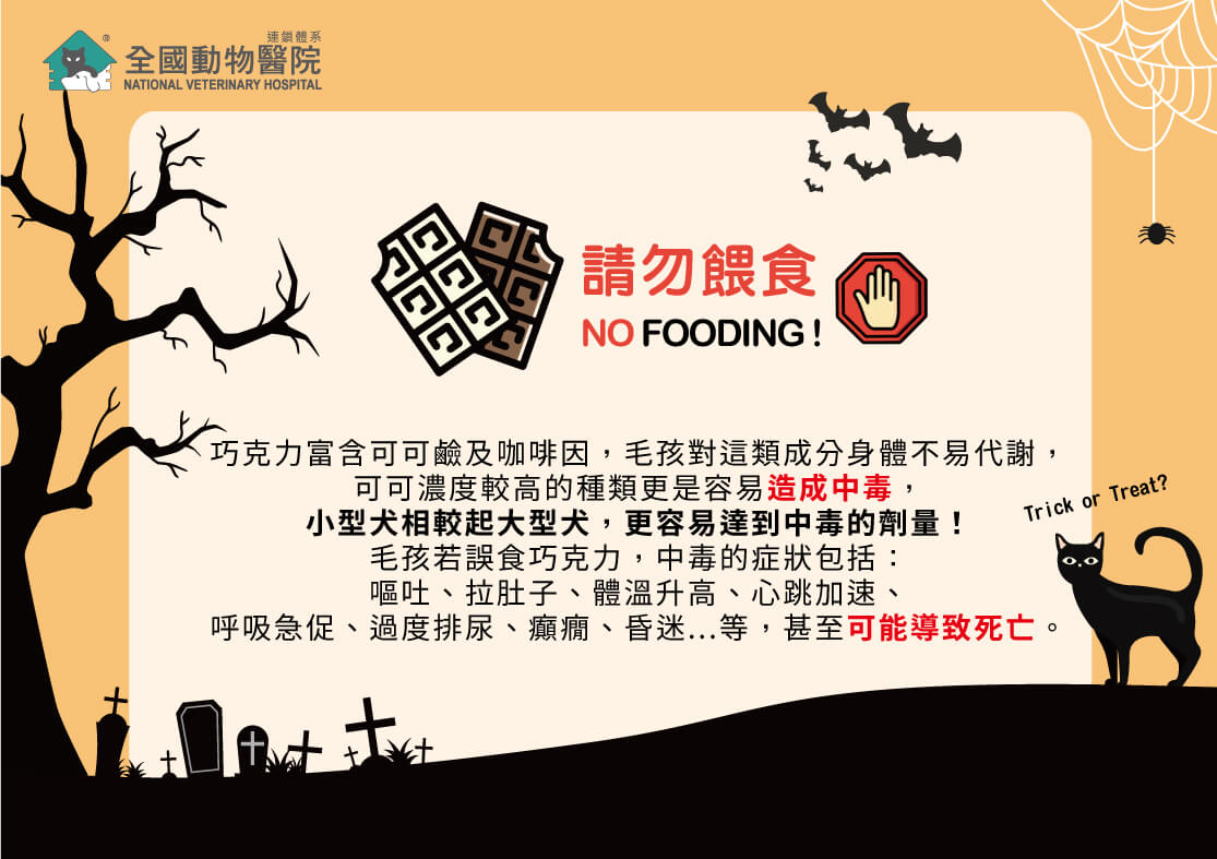 這是一張圖