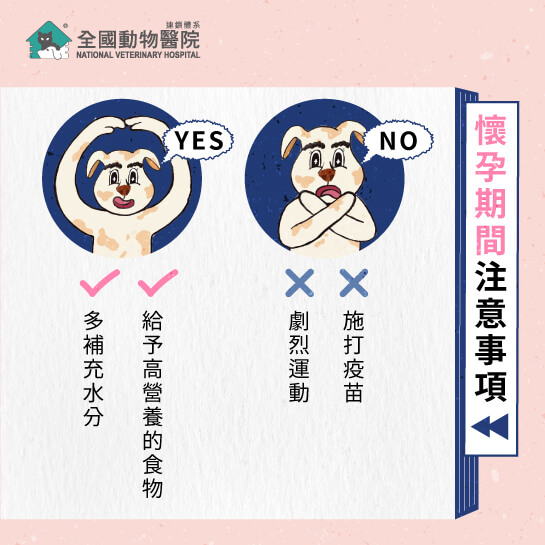這是一張圖