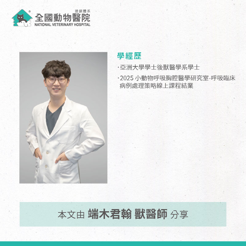 這是一張圖