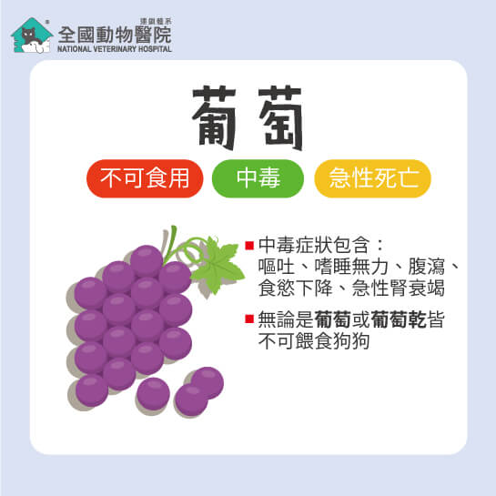 這是一張圖