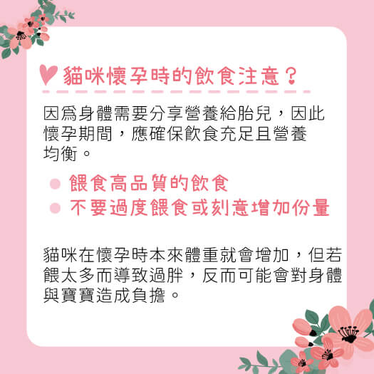 這是一張圖