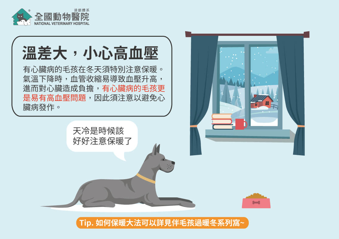 這是一張圖