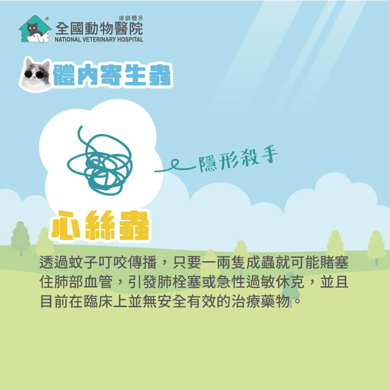 這是一張圖