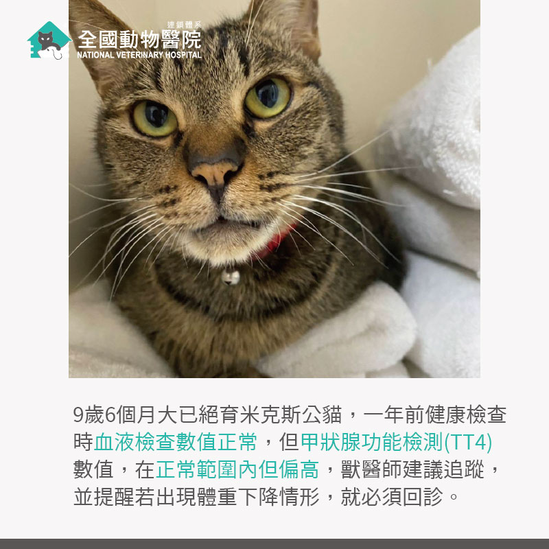 這是一張圖