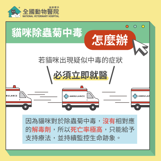 這是一張圖