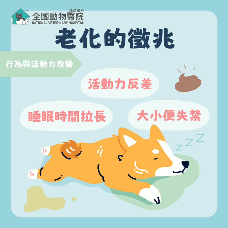 這是一張圖