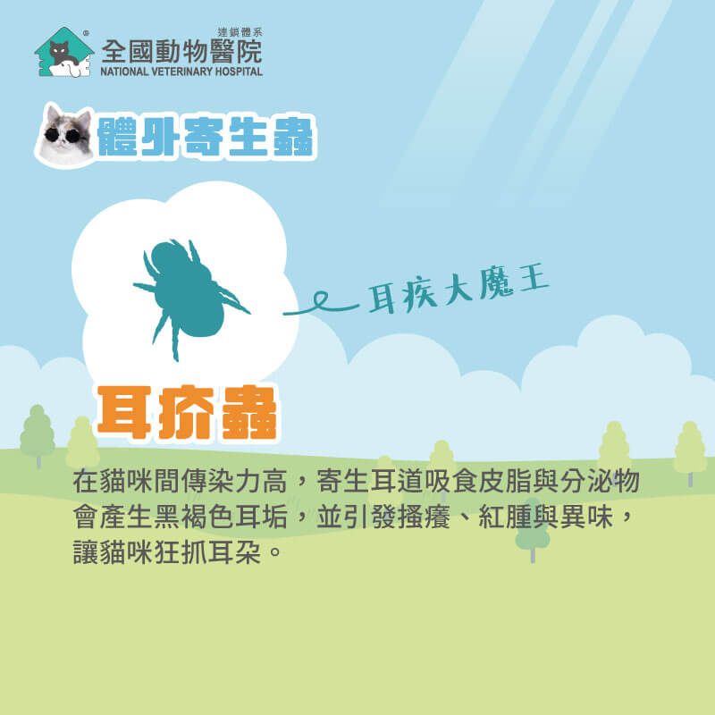 這是一張圖