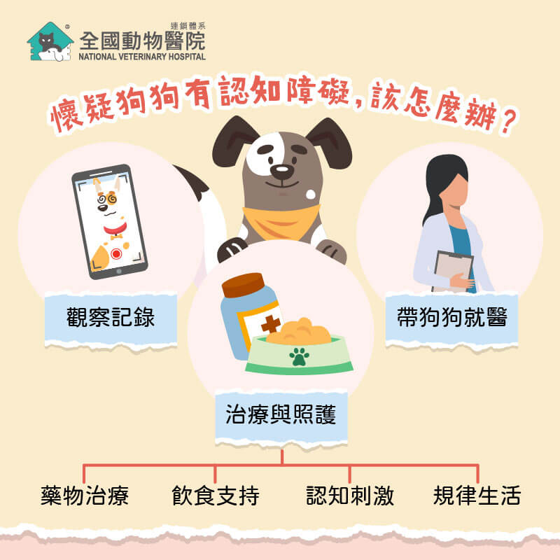 這是一張圖