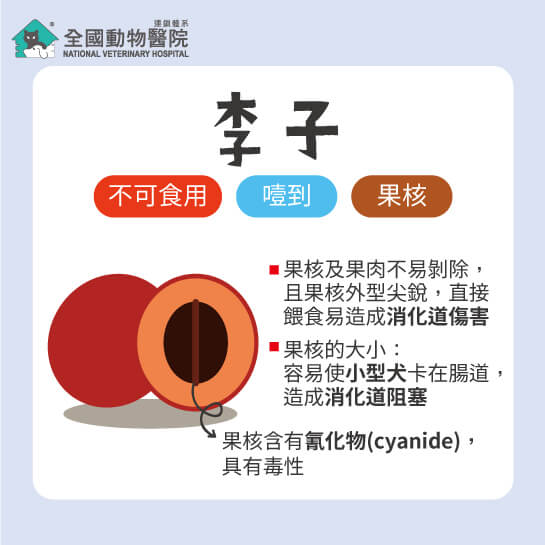 這是一張圖