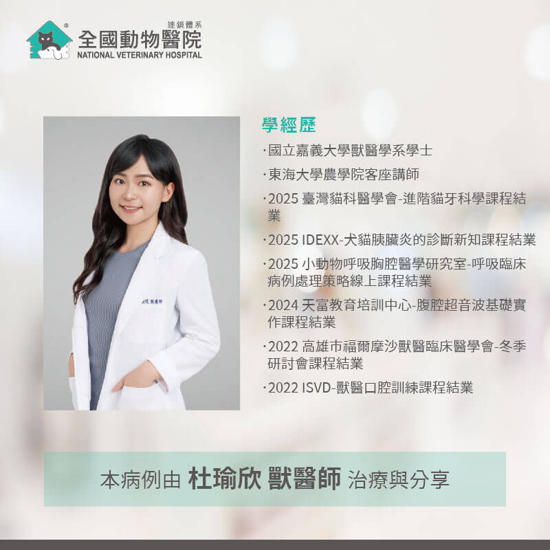 這是一張圖