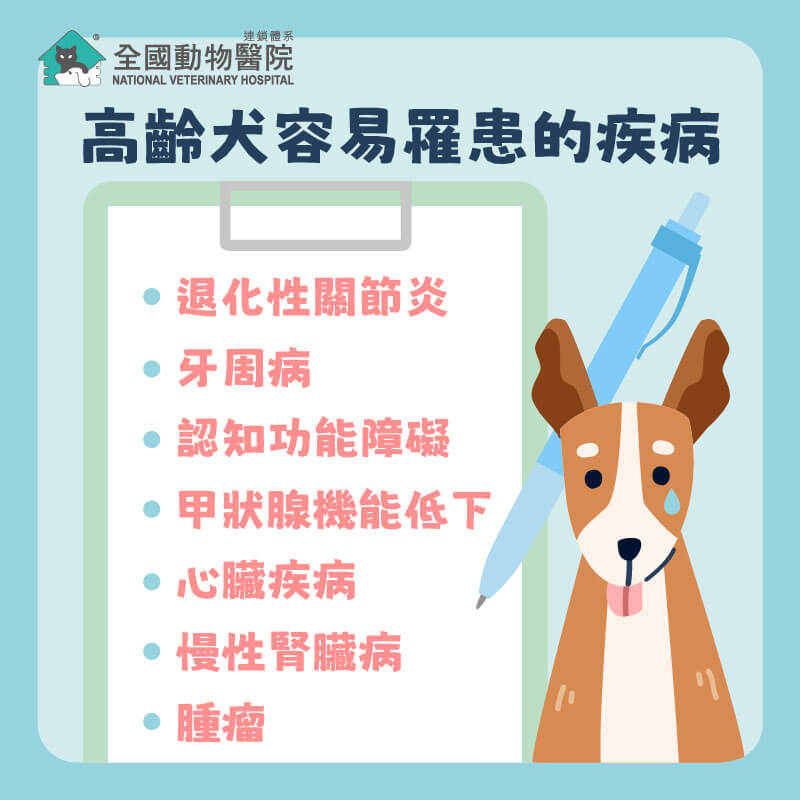 這是一張圖