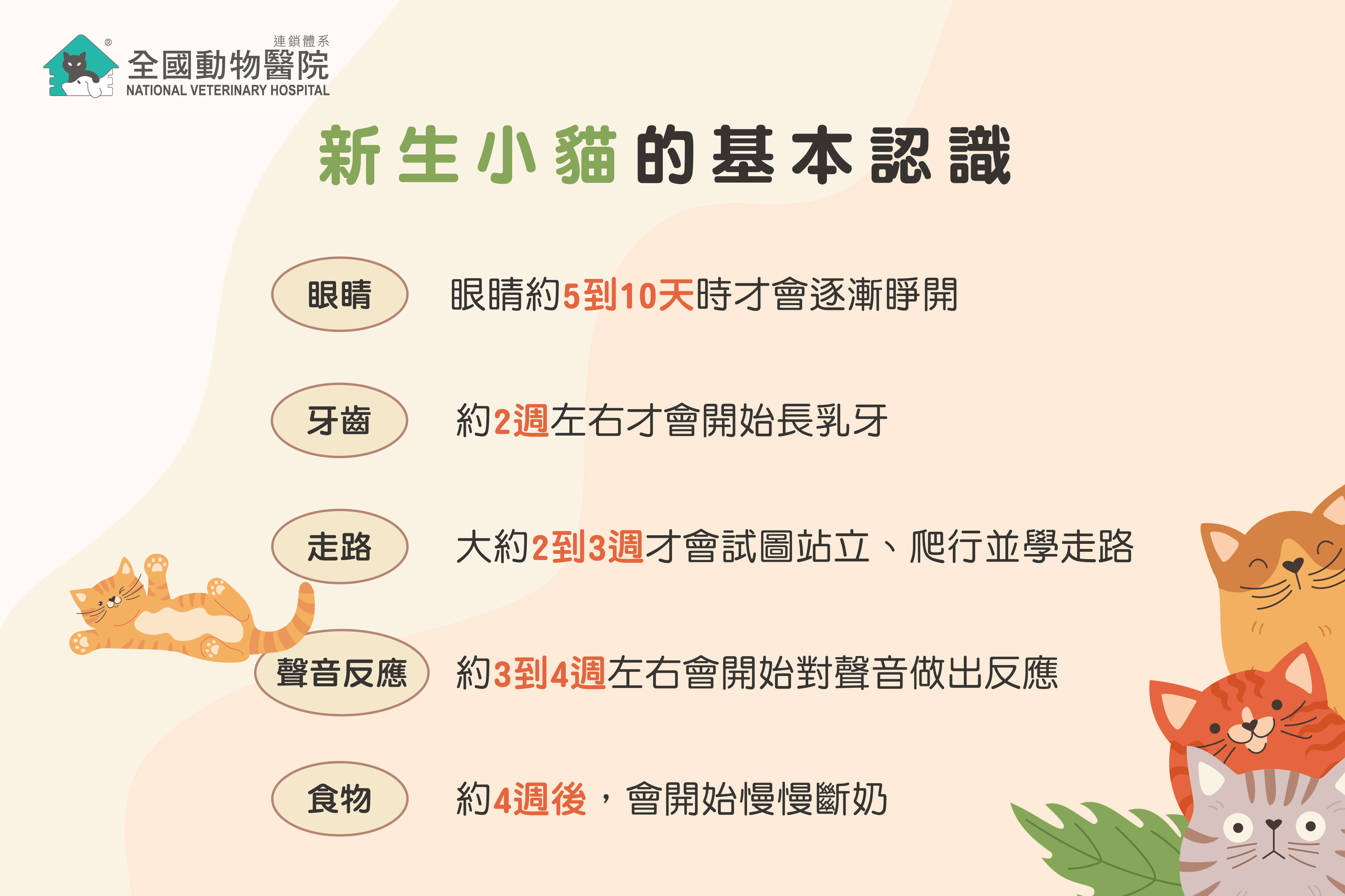 這是一張圖