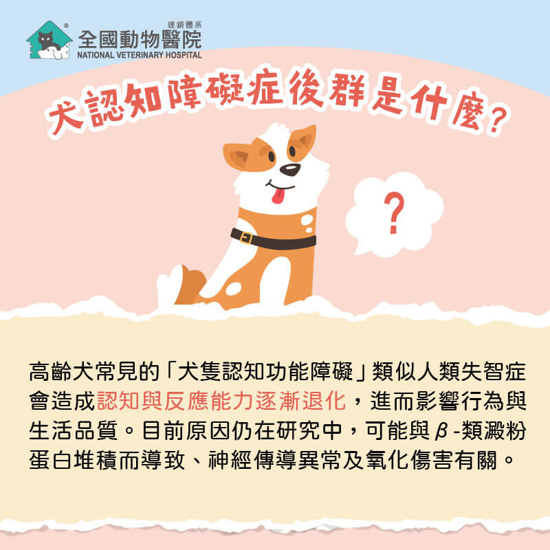 這是一張圖