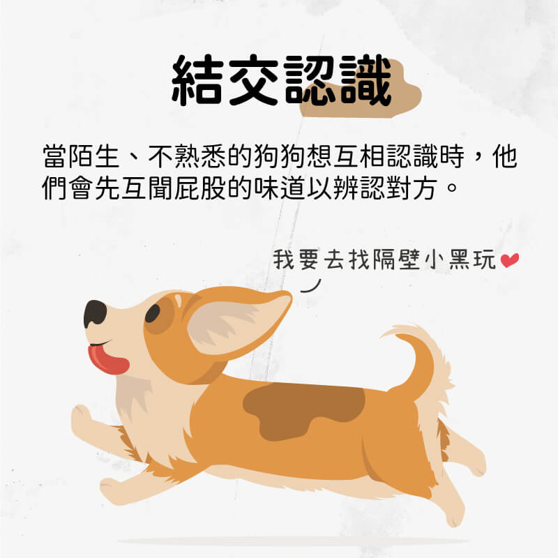 這是一張圖