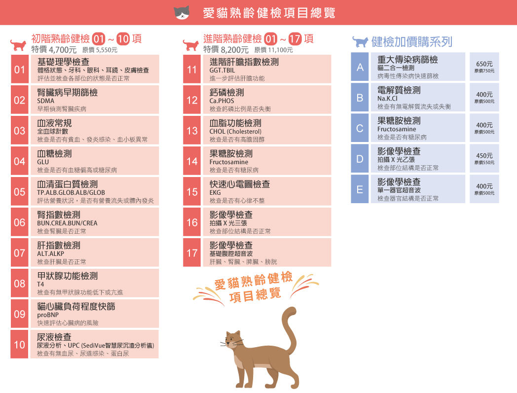 這是一張圖