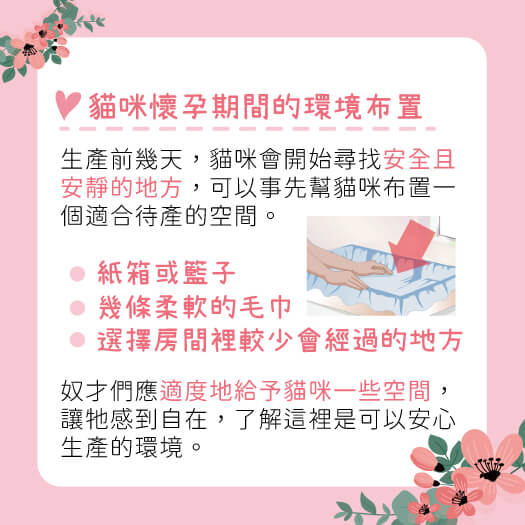 這是一張圖