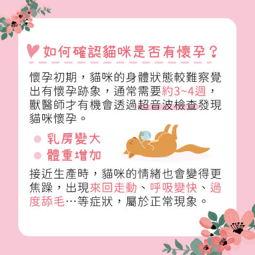 這是一張圖