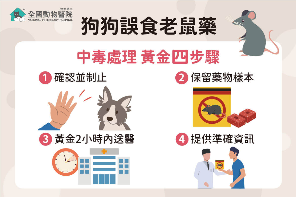 這是一張圖