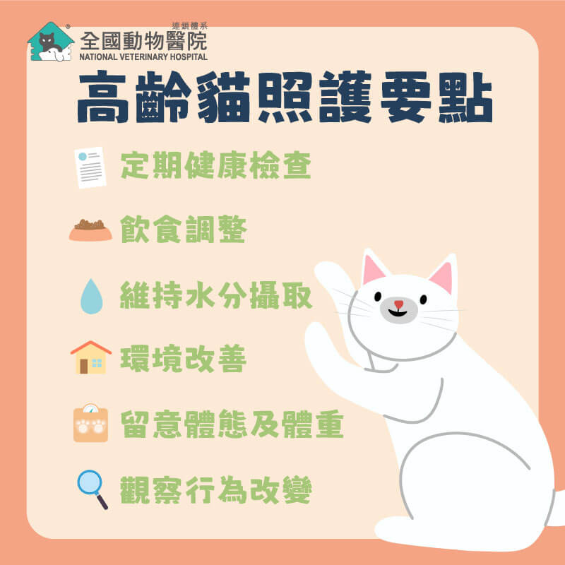這是一張圖